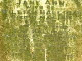 image of grave number 56642